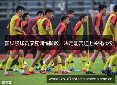 国脚级球员康复训练阶段，决定能否赶上关键战役